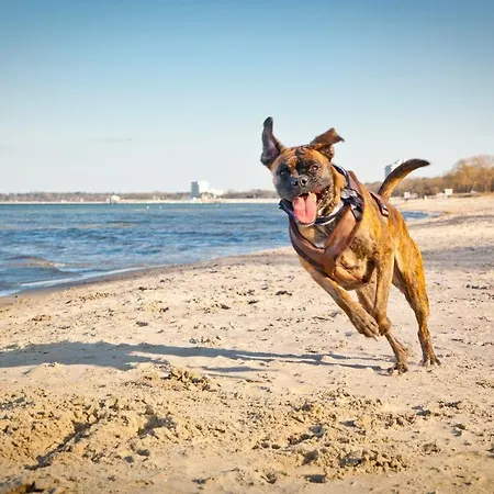 Ferienwohung Tilla Scharbeutz